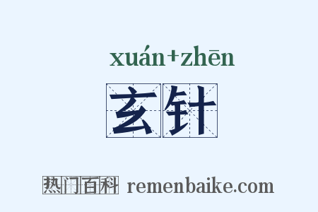 玄针是什么意思的图片